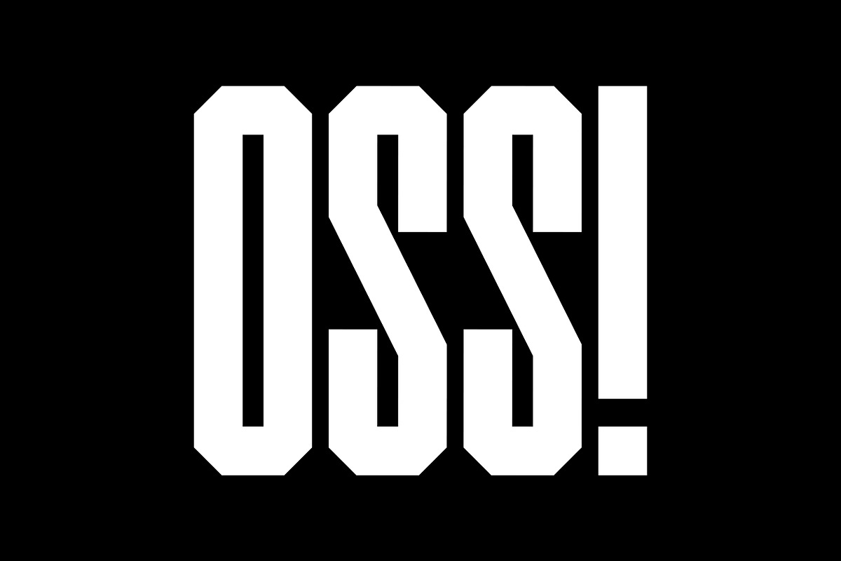 Srg-Fighters Glory display font, a Font by Srg® (Photo 15 of 15)