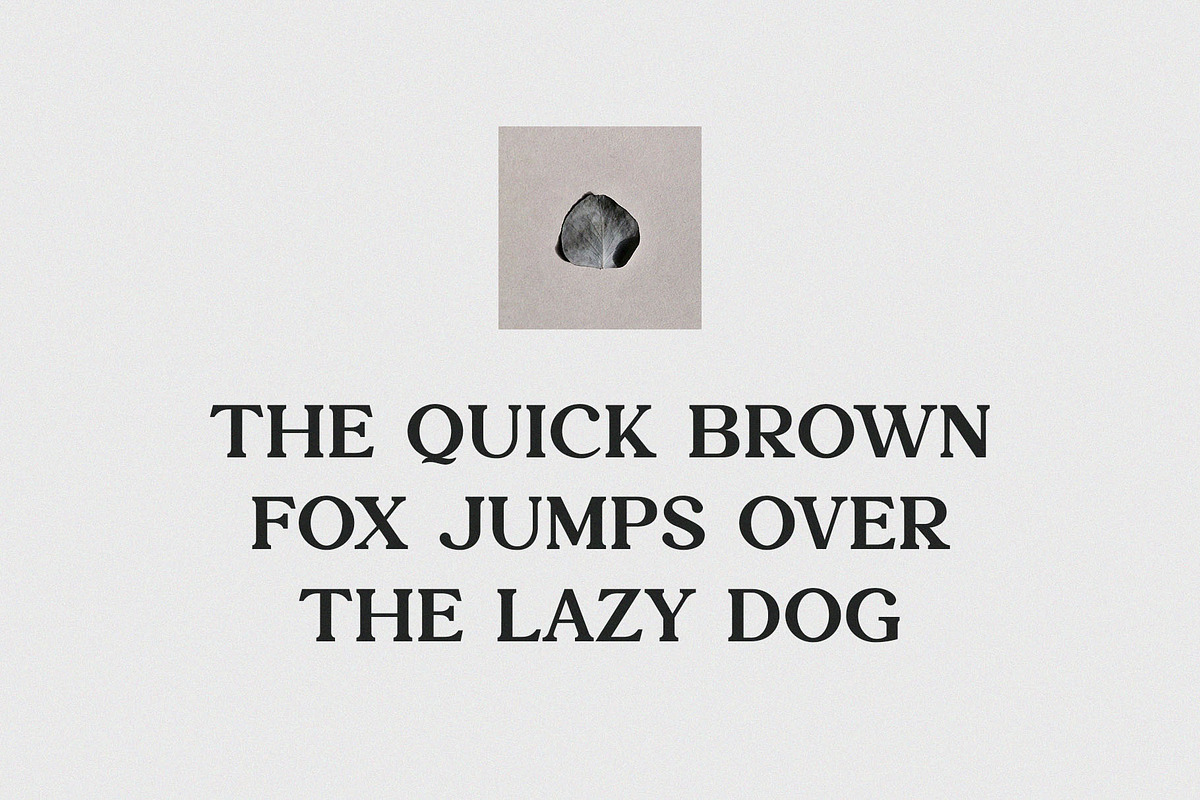 Josac - Nostalgic Serif Font, a Serif Font by TypeLogue (Photo 3 of 5)