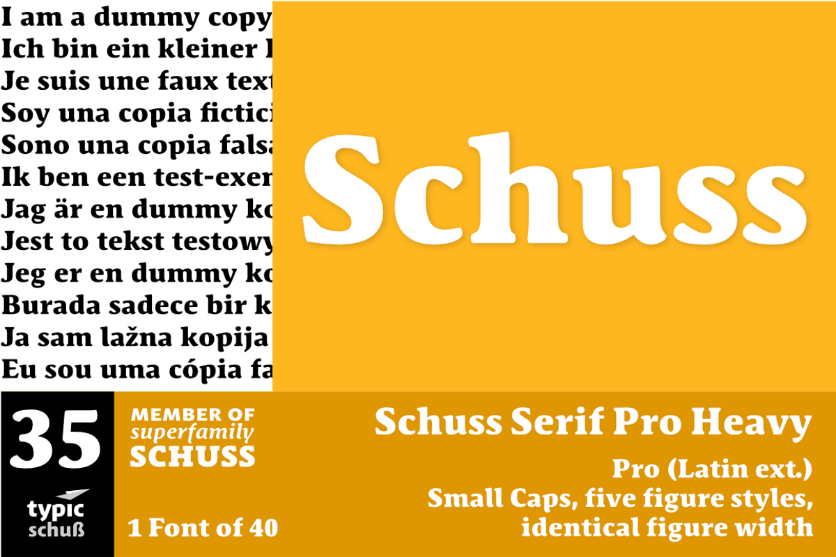 SchussSerifProHeavy No.35 (1 Font)