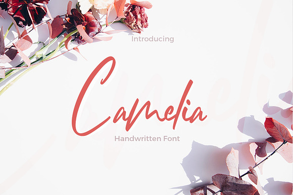 Camelia preview 8