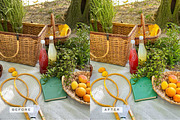5 Natural Mobile Video LUTs, a Brushes & More by TheWayfarerShoppe (Thumbnail 16 of 17)