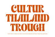 Shyne Roska Groovy Retro Serif, a Serif Font by timelesstype.co (Thumbnail 5 of 20)