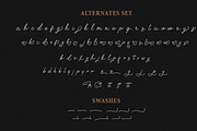 Houstoner Script + EXTRAS! (40%OFF), a Script Font by Martype (Thumbnail 11 of 14)