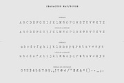 Merchant Ledger - Typewriter Family, a Serif Font by Twinbrush (Thumbnail 10 of 20)