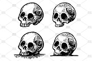 Skull human. Engraving vintage, a Person Illustration by MoreVector (Thumbnail 3 of 3)