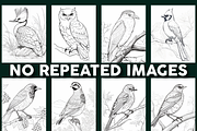 100 Bird Coloring Pages For Adults, an Object Graphic by Design Station (Thumbnail 4 of 5)