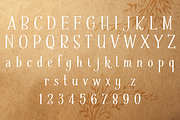 Sale-Fratello Nick Bold, a Font by Debi Sementelli (Thumbnail 2 of 2)