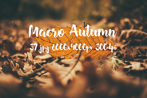Macro Autumn photo bundle