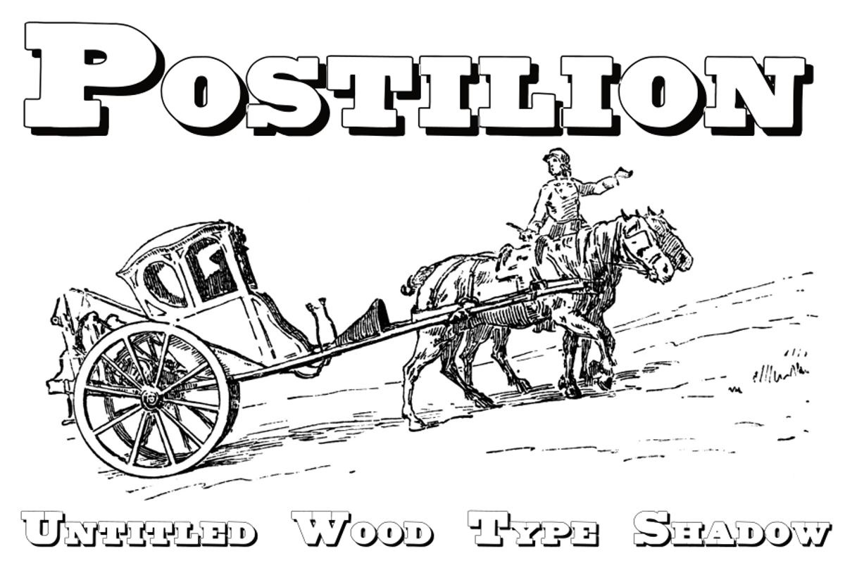 Untitled Wood Type FAMILY PACK, a Serif Font by Intellecta Design (Photo 5 of 7)