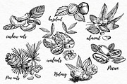 Nuts and snacks, a Food Illustration by Ann Astro (Thumbnail 4 of 24)