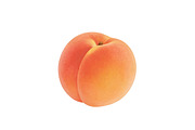 All Fruits Bundle Master Collection, a Food & Drink Photo by FlyeredTemplate (Thumbnail 102 of 130)
