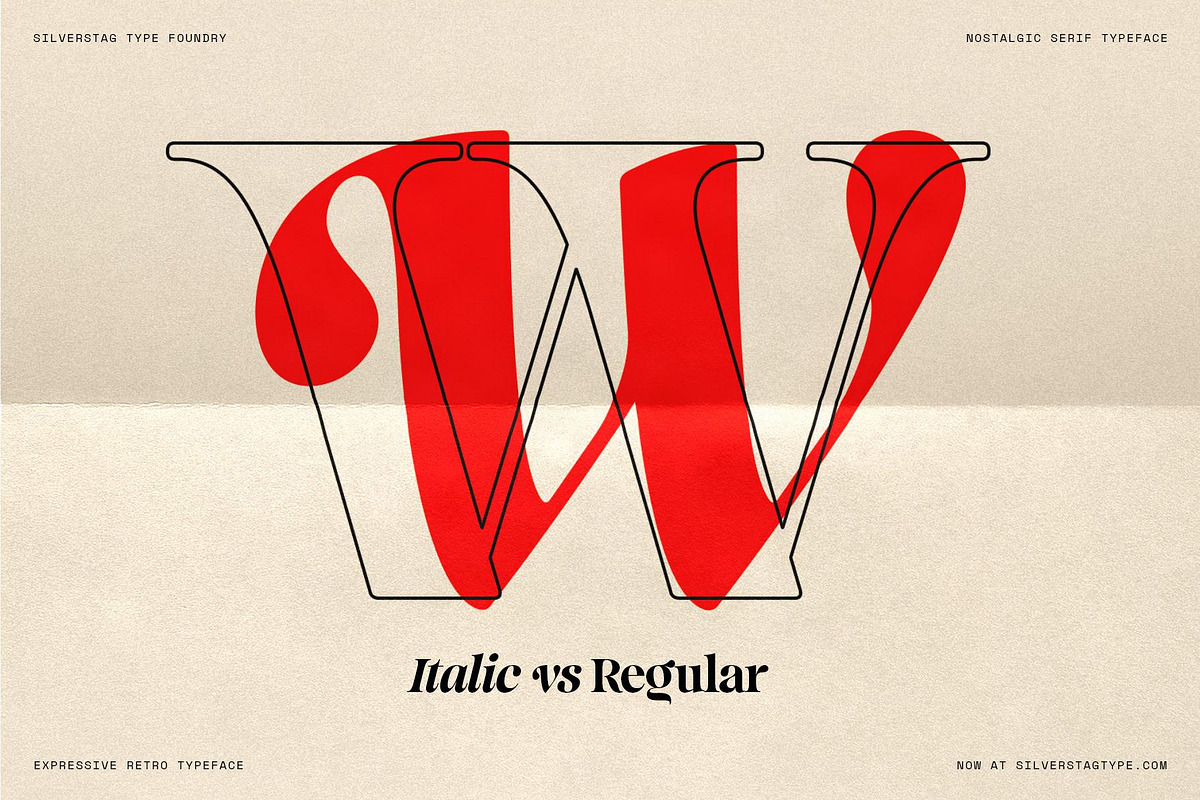 La Mystere - Editorial Serif Font, a Serif Font by SilverStag Type Foundry (Photo 2 of 30)