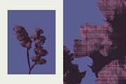 Printed Botanical Graphics, an Object Graphic by Neatly Made Studio (Thumbnail 9 of 17)