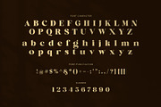 Backira Luxury Serif Font, a Serif Font by Perfectype (Thumbnail 7 of 8)