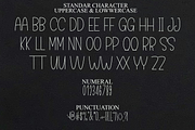 Dinamica, a Font by FreshTypeINK (Thumbnail 3 of 8)