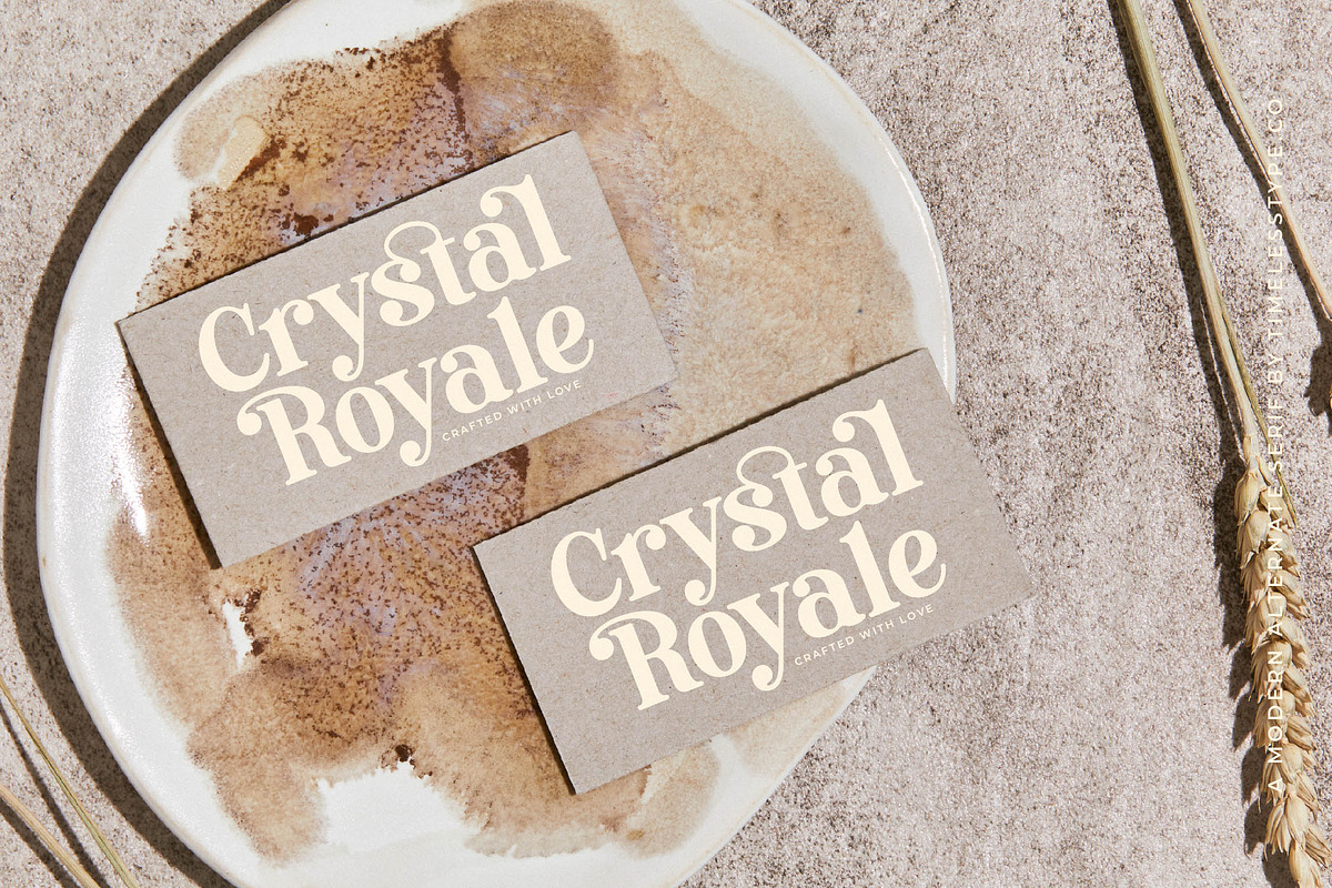 Roman Magicel Modern Alternate Ser, a Serif Font by timelesstype.co (Photo 8 of 20)