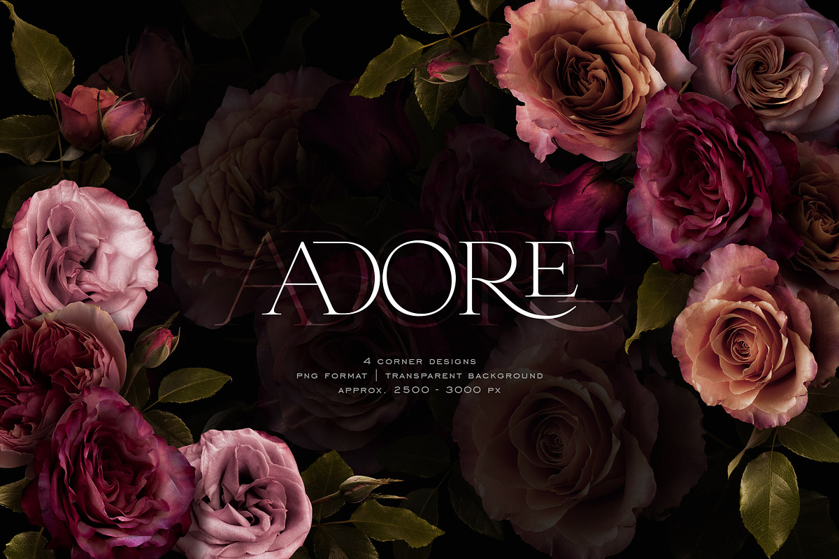 Adore Realistic Romantic Roses, an Object Graphic by Eclectic Anthology (Photo 4 of 11)