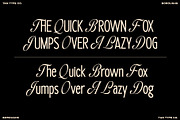TAN - BOROUGHS, a Serif Font by TanType (Thumbnail 9 of 10)