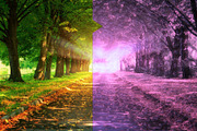 20 Styled Effects - Photoshop Action, an Action Add-On by Lightdesigns (Thumbnail 8 of 8)