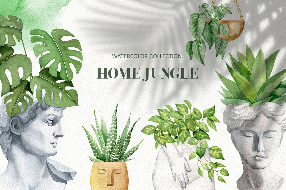 House plant watercolor collection, an Illustration by Color Hugs Art (Photo 1 of 10)
