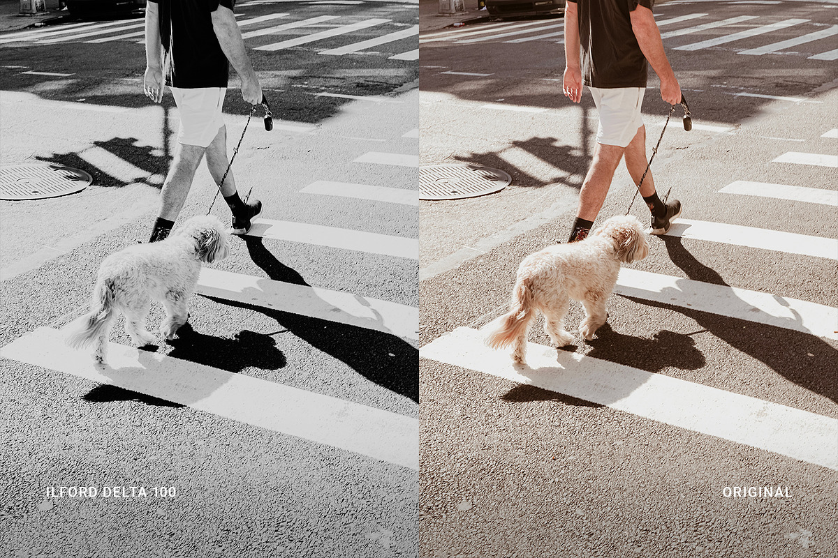 Ilford Delta 100, a Preset Add-On by colorituals (Photo 6 of 9)