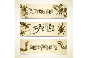 Insects Sketch Set