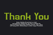 Rister Kollefos Brush, a Handwritten Font by QR Design Studio (Thumbnail 9 of 9)