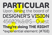 YNF Orion | Rounded sans serif, a Sans Serif Font by YNF (Thumbnail 17 of 45)