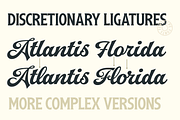 Arlington League -Sport Font Duo, a Script Font by Fenotype (Thumbnail 14 of 15)
