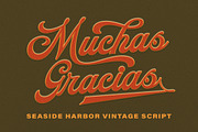 The Seaside Harbor - Vintage Script, a Script Font by Letterhend Studio (Thumbnail 8 of 8)