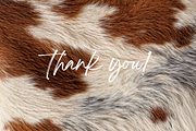 FURther: The Ultimate Fur Collection, a Background Graphic by Anastasiia VNSK (Thumbnail 12 of 12)