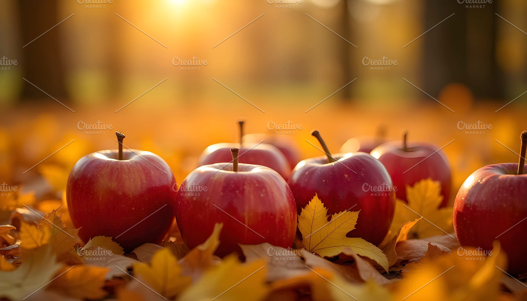 Red Apples On Autumn Leaves During S, a Photo by LOGOCREATIVE