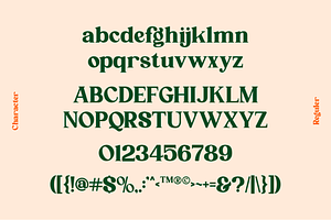 Qufego Stylish Serif Font