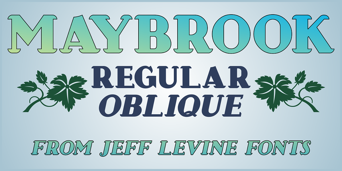 Maybrook JNL, a Font by Jeff Levine Fonts (Photo 1 of 5)