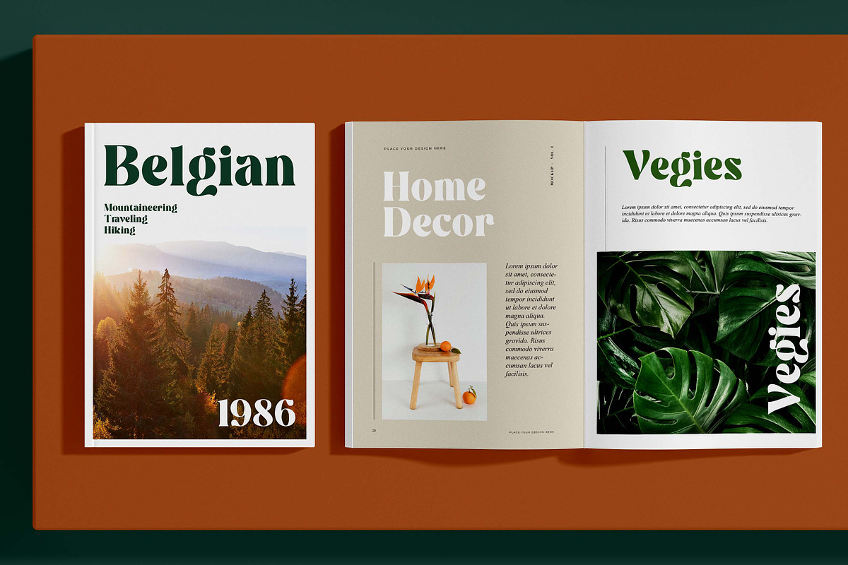 Williesh - Unique Display Serif, a Serif Font by Almarkhatype (Photo 6 of 10)
