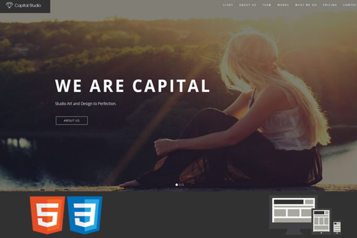 Capital One/MultiPage HTML Template, a HTML Template by earthquake (Photo 3 of 8)