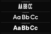 II Increments Foundry: 3 Font Bundle, a Sans Serif Font by Increments Type Foundry (Thumbnail 2 of 11)