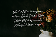 Danthalion Elegant Signature Script, a Script Font by gracetype_studio (Thumbnail 5 of 12)
