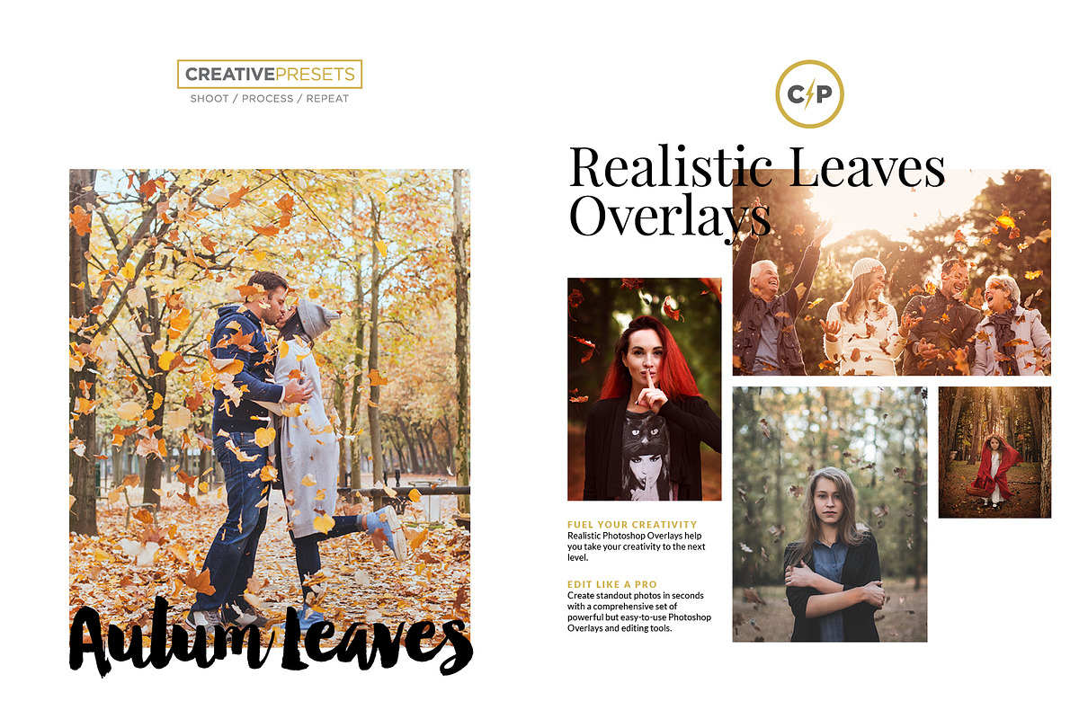 +83 Autumn Leaves Overlays, a Layer Style Add-On by CreativePresets.com (Photo 3 of 16)