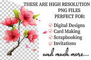 Whimsical Flowers Spring Clipart, an Illustration by Daily.Designs (Thumbnail 2 of 8)
