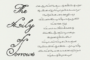 Lily of Sorrows - Spencerian Script, a Script Font by Lilithcollageart (Thumbnail 7 of 8)