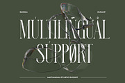 Ranbila Elegant Ligature Serif, a Serif Font by Alfinart (Thumbnail 9 of 10)