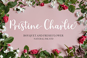 Astylife, a Script Font by Natural Ink Studio (Thumbnail 2 of 8)