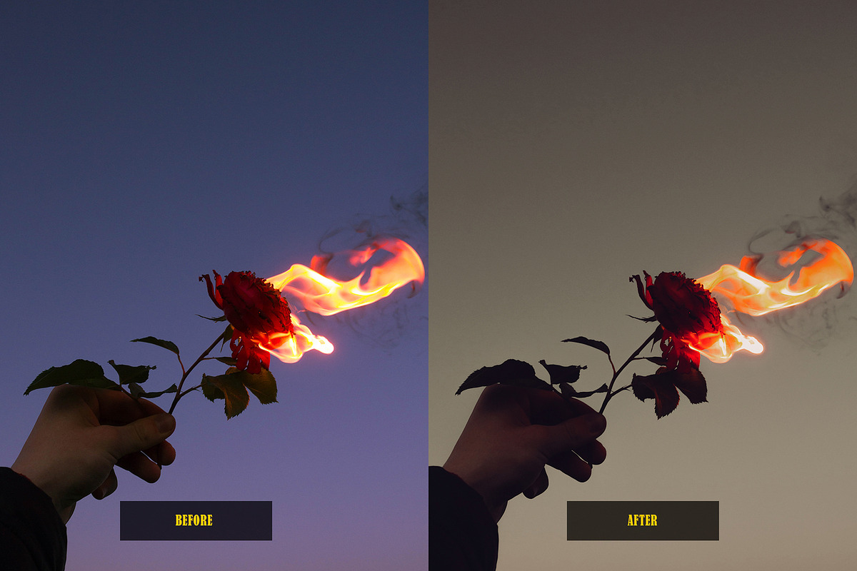 Analog Film Lightroom Presets, an Action Add-On by Lavinsky Art Store (Photo 6 of 12)