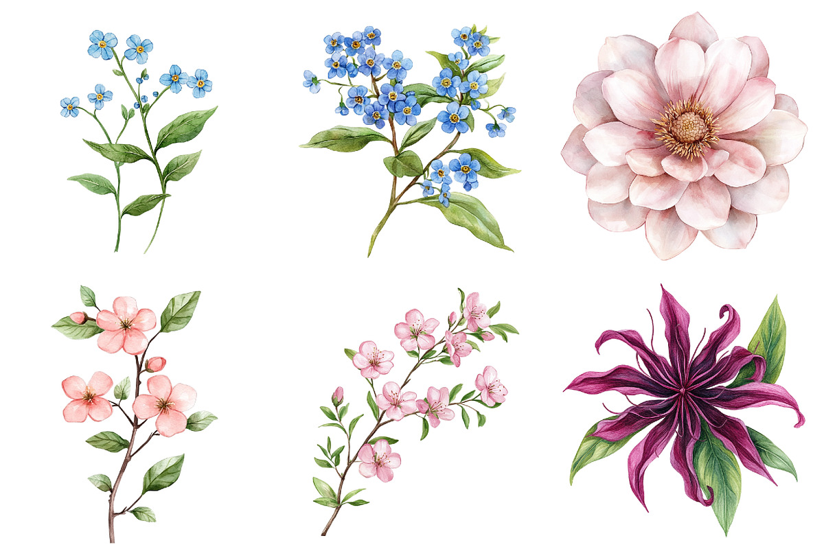 Watercolor Wildflower Clipart Bundle, a Seasonal Illustration by CitraGraphics (Photo 5 of 10)