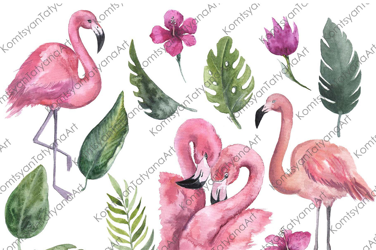 Watercolor Flamingo Clipart. Tropic, an Animal Illustration by KomtsyanTatyanaArt (Photo 2 of 7)