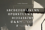 Casley - Modern Serif Font, a Serif Font by TypeLogue (Thumbnail 4 of 5)