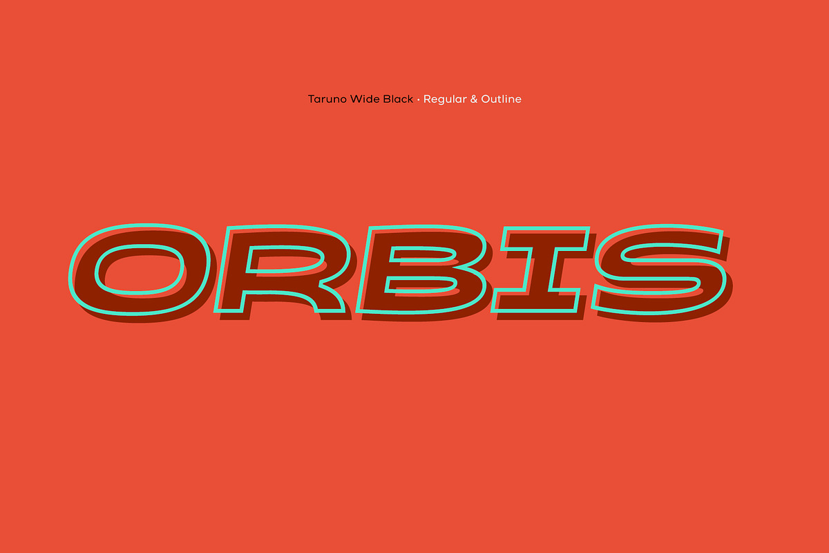 Taruno Wide Black, a Sans Serif Font by Locomotype (Photo 3 of 12)
