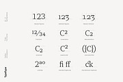TT Bells, a Serif Font by TypeType (Thumbnail 8 of 11)