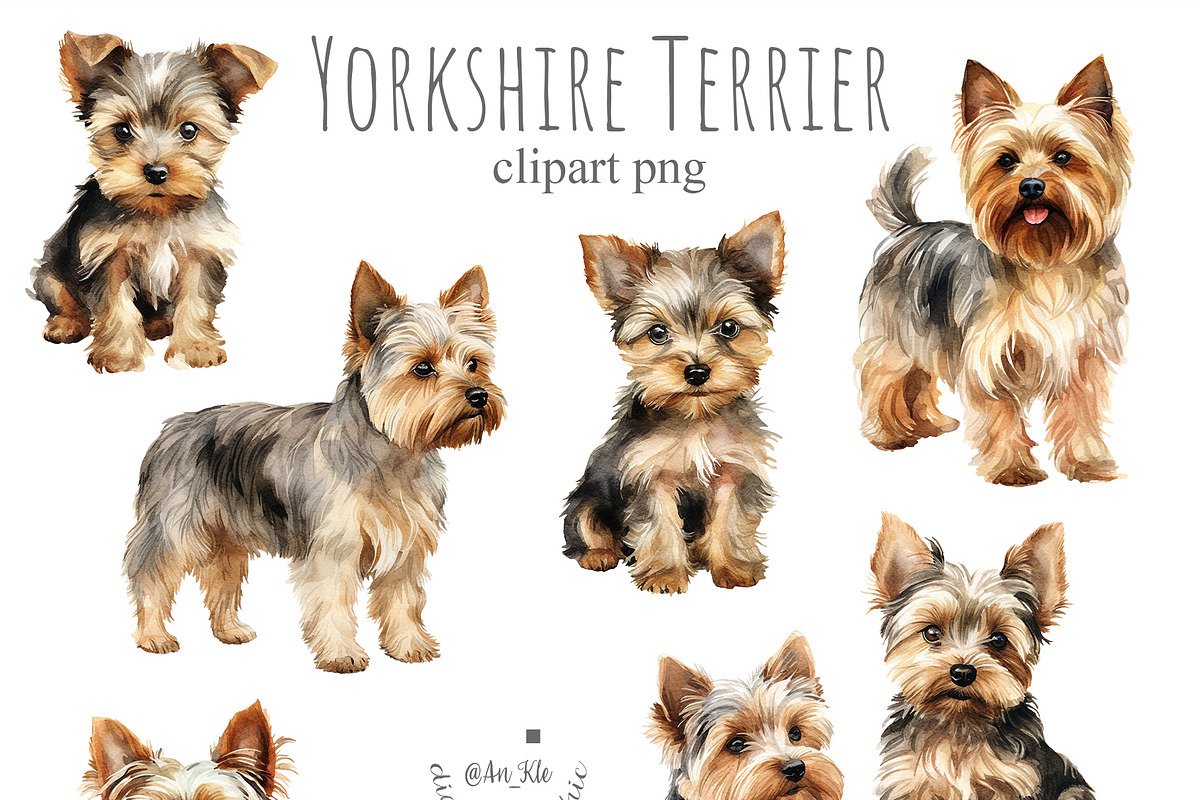 Yorkshire Terrier, an Animal Illustration by TheCuteShop (Photo 2 of 4)